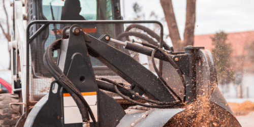 Tree Removal Stump Removal in Bertram TX Burnet TX Liberty Hill TX Buchanan Dam TX