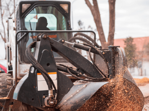 Tree Removal Stump Removal in Bertram TX Burnet TX Liberty Hill TX Buchanan Dam TX