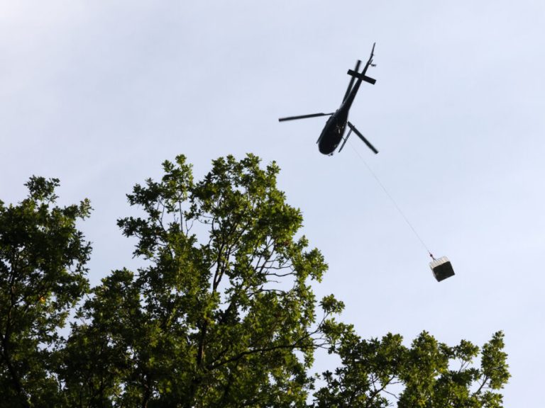 Helicopter Tree Trimming